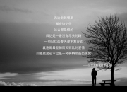 LOL赛事-绝杀之夜，乌兹别克斯坦如何在2026世界杯E组掀翻瑞士，B费成战术奇兵