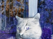 英雄联盟总决赛直播-棋盘上的皇后，恩佐的致胜一步与波兰的全面压制美学