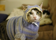 英雄联盟总决赛时间-二十年