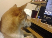 英雄联盟总决赛-隔空交响，克莱独奏与爵士强音，黄蜂沉默之夜