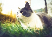 英雄联盟总决赛赛程-七秒绞索，当保罗的意外秒杀掐灭热火最后四分钟