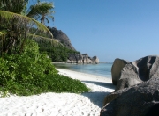 英雄联盟总决赛时间-史诗级双41+闪耀！欧文冠军级表现击穿火箭，骑士艰难迎来首胜