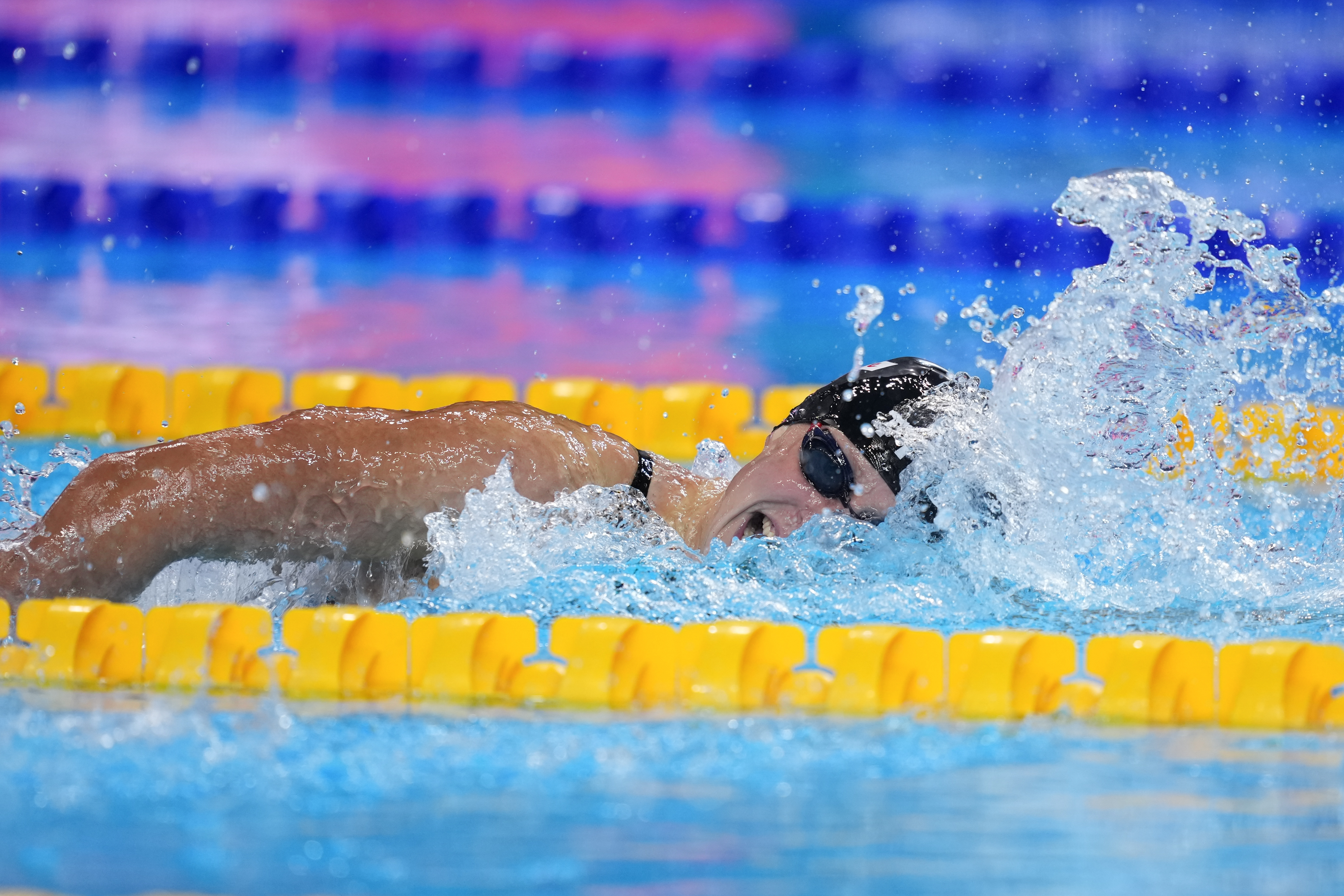 关于世界赛舞台,游泳代表国家出征荣耀的信息 关于世界赛舞台,游泳代表国家出征荣耀的信息