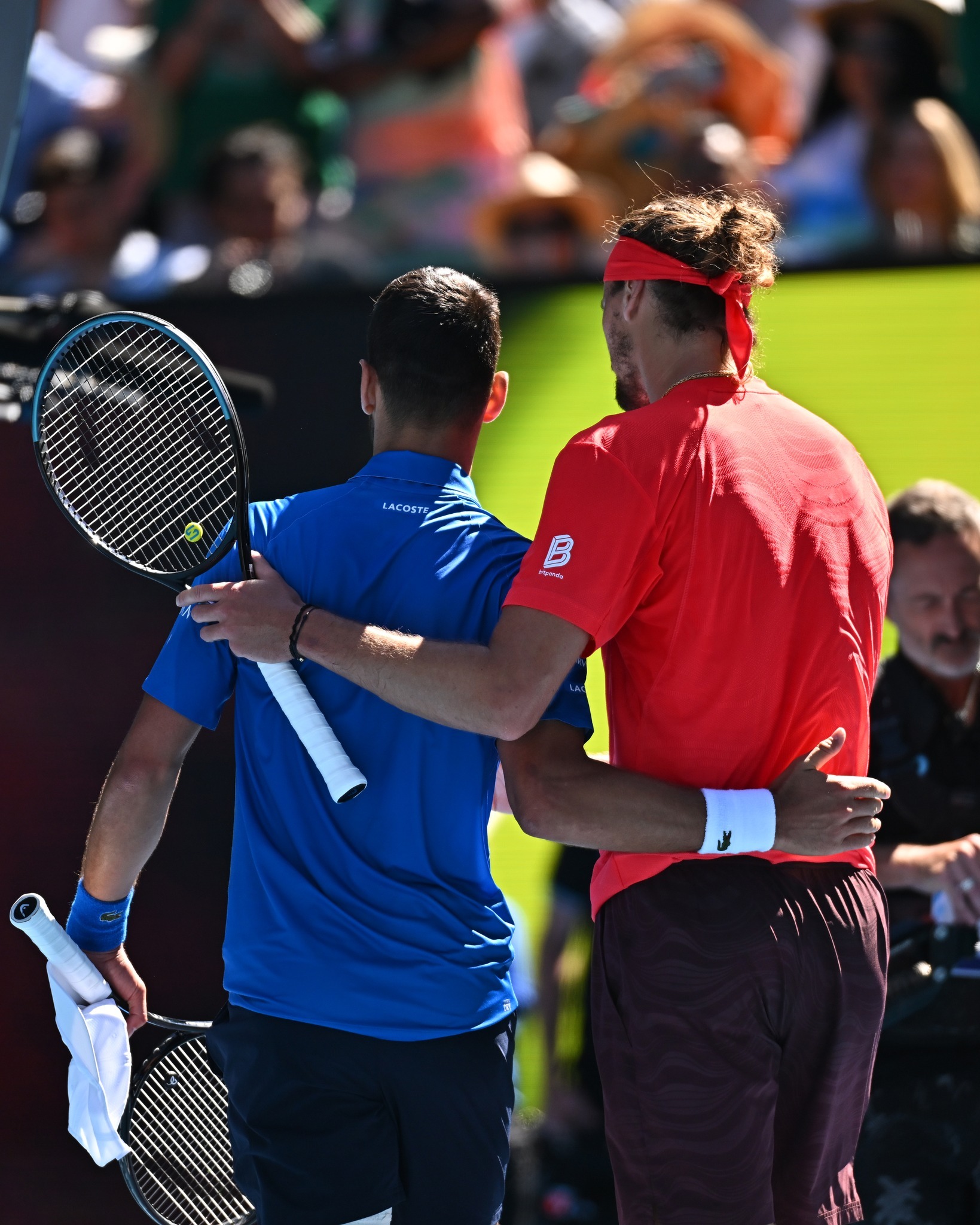 澳网完胜戴维斯杯,德约科维奇扛起全队 澳网完胜戴维斯杯,德约科维奇扛起全队