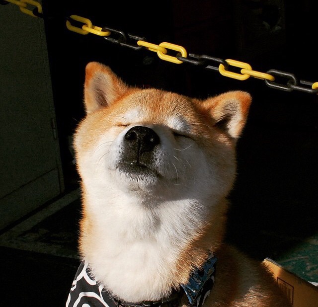 雷霆如闪电劈开森林狼,小贾伦关键三分书写晋级新篇章