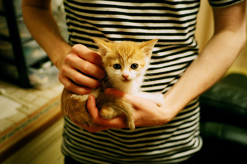 若日尼奥的跨界王朝,当足球大脑接管东决G7