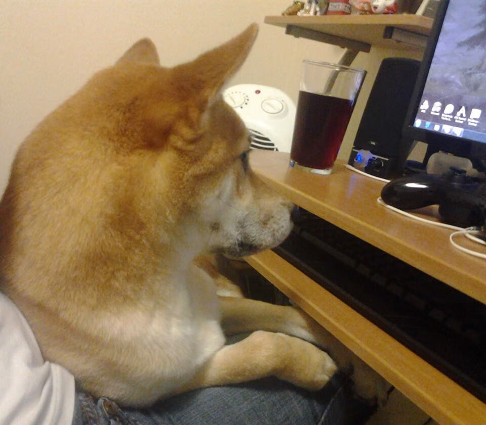 隔空交响，克莱独奏与爵士强音，黄蜂沉默之夜