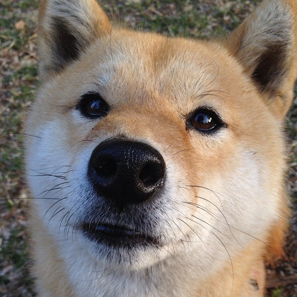 友谊赛变降维打击!锡安炸裂表现让吉林主场彻底沸腾