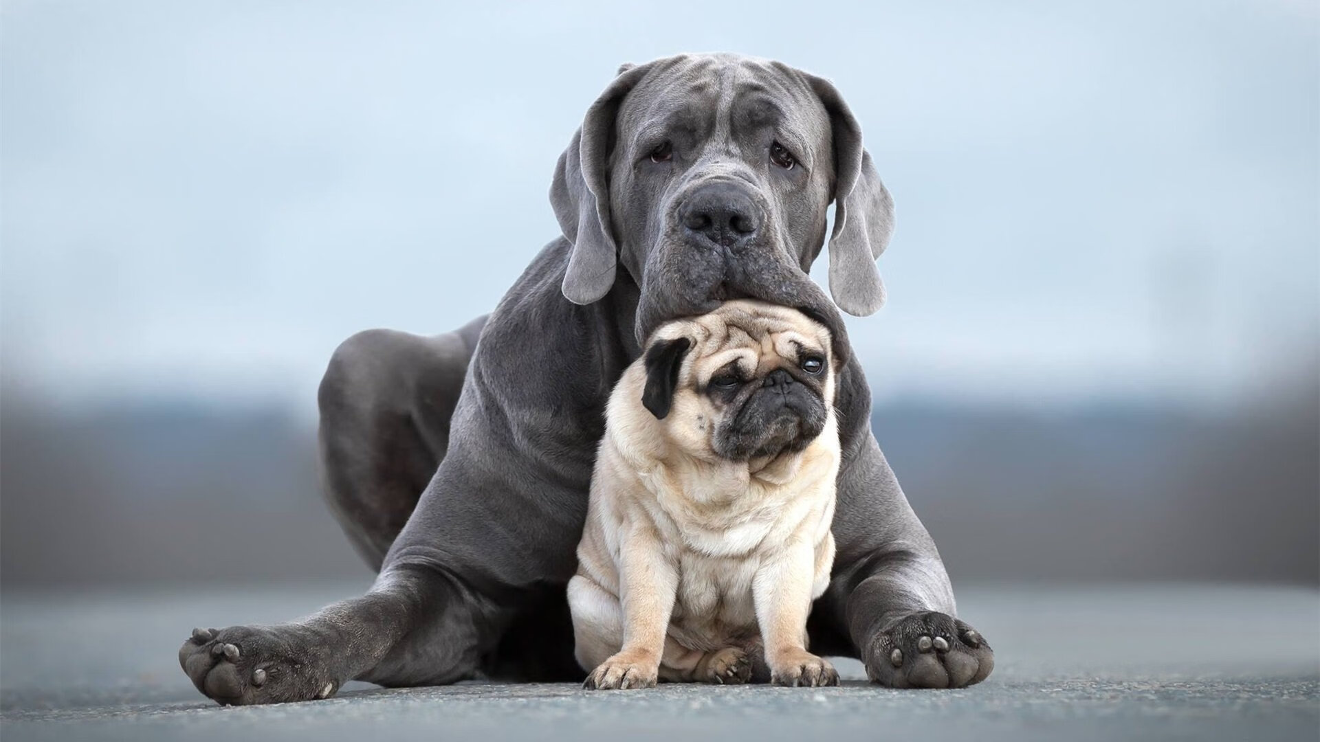 跨界体育之夜,吉林队篮球场压制魔术,东契奇意甲绿茵接管比赛