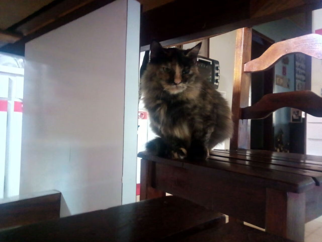 引擎对决，F1巴林首战前瞻与浙江队活塞引擎大修记