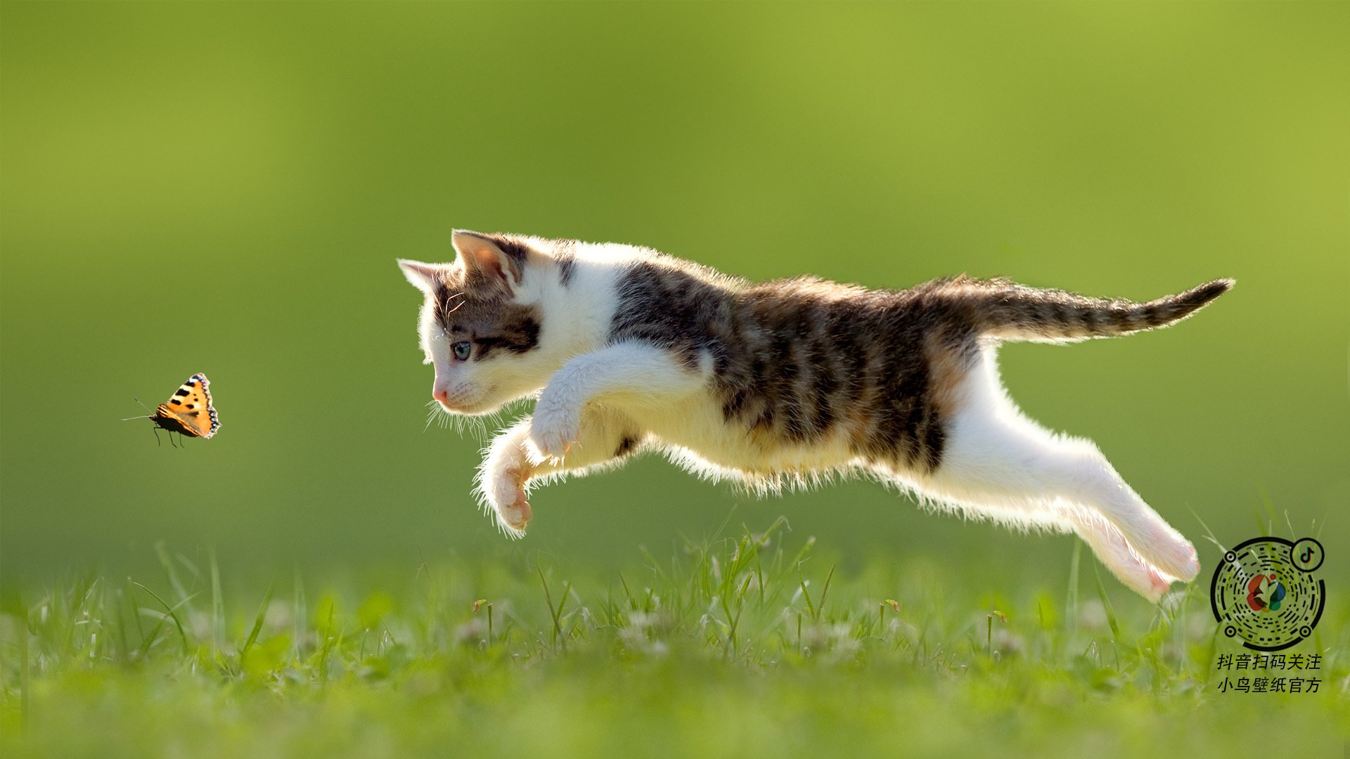 从容的雄鹿，凶猛的詹姆斯—当代篮球的两种赢家逻辑