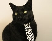 赛道上的点球大战，当F1年度争冠之夜遇见武切维奇式的绝杀