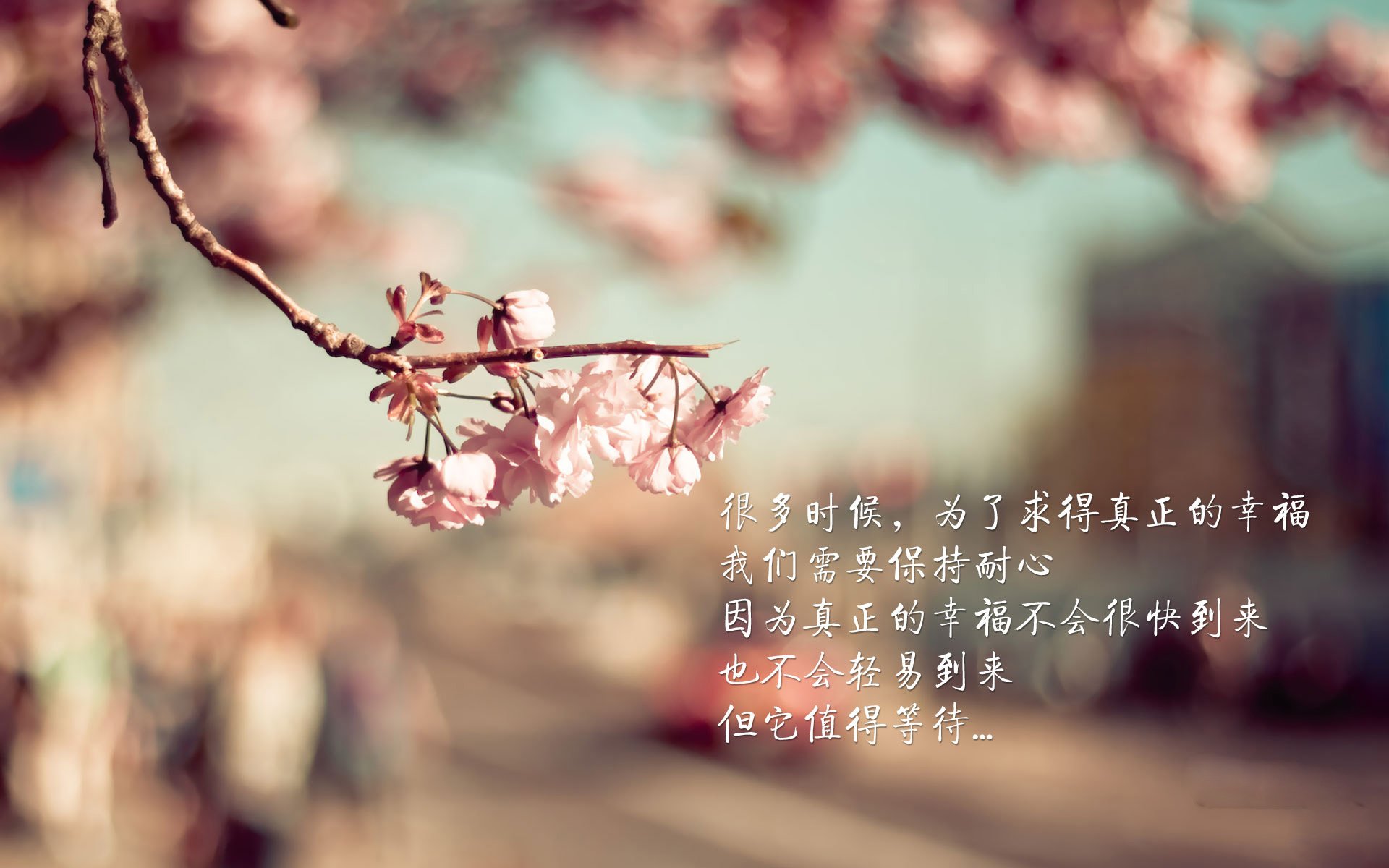 双面神迹,迪马利亚的刀刃与喀麦隆的洪流