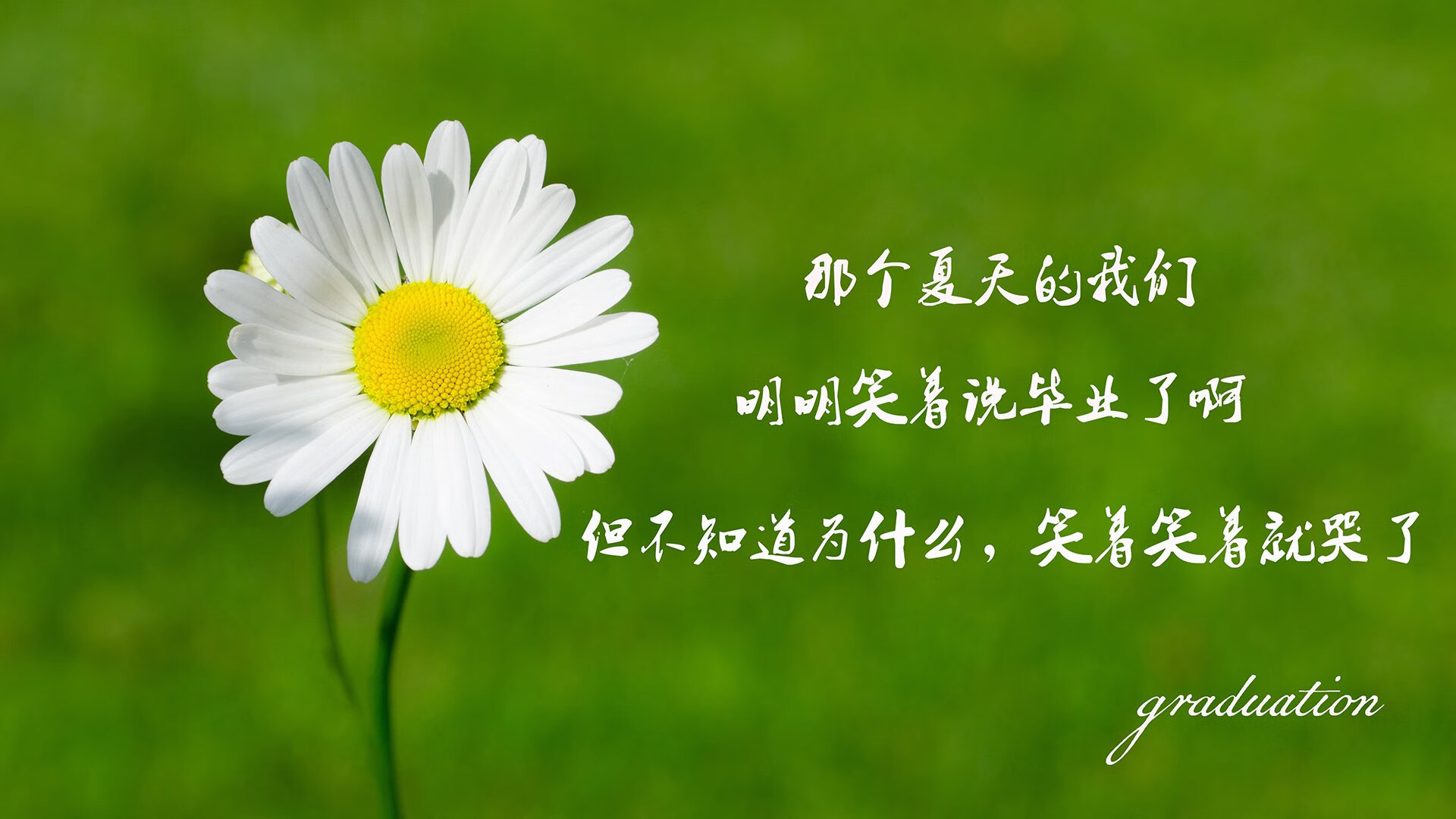 孤锋破阵,2026世界杯C组,吉鲁的防守反击如何让奥地利大胜哥伦比亚成为唯一